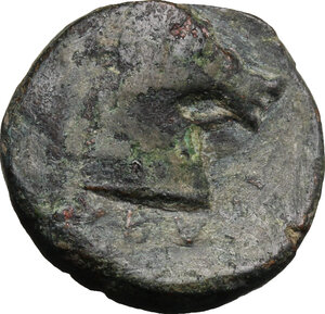 reverse: Northern Apulia, Teate. AE 19 mm, c. 325-275 BC