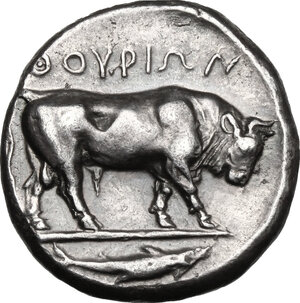 reverse: Southern Lucania, Thurium. AR Stater, 443-400 BC