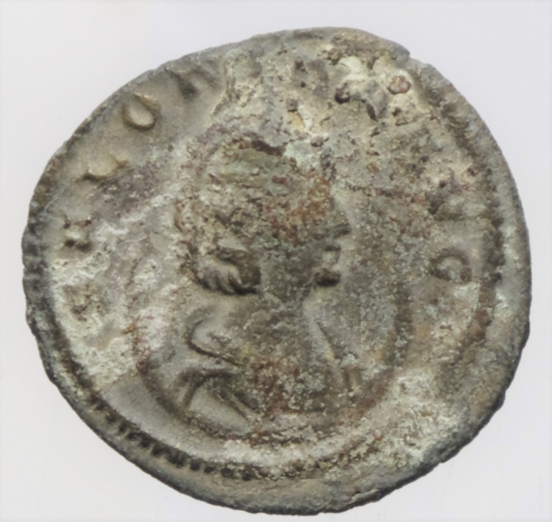 obverse: salonina