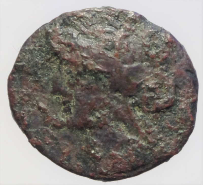 obverse: siculo punica