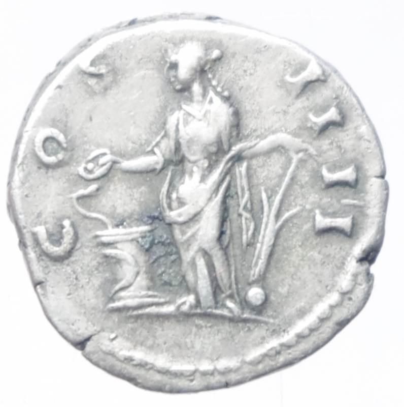 reverse: denario antonino pio