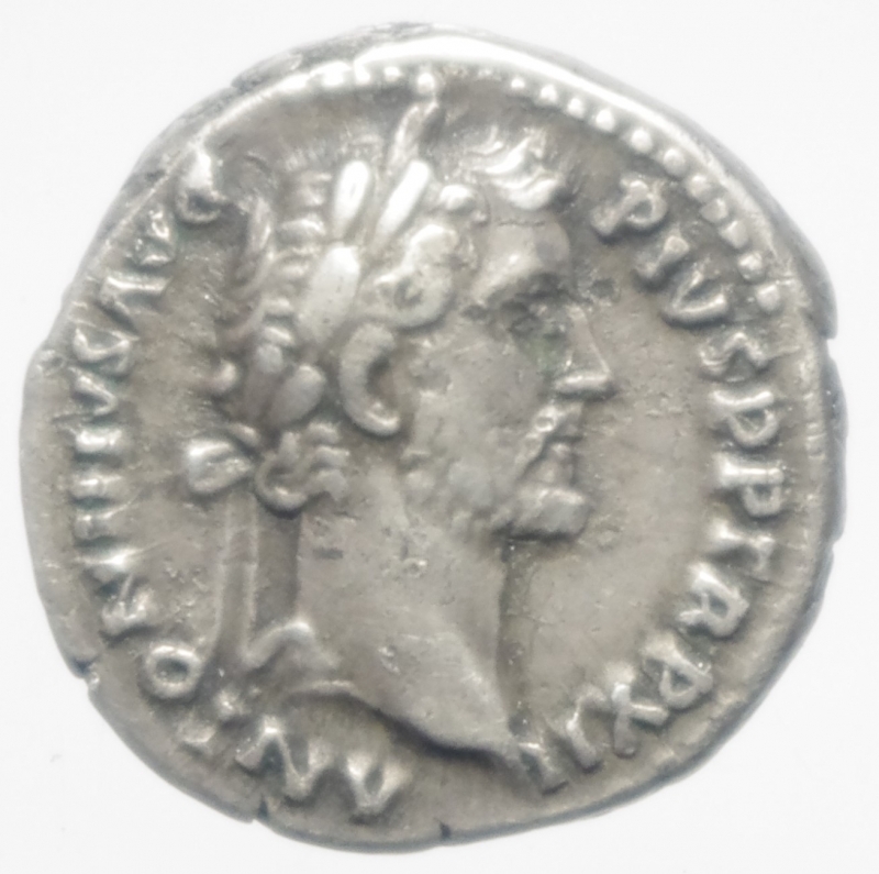 obverse: antonino pio denario
