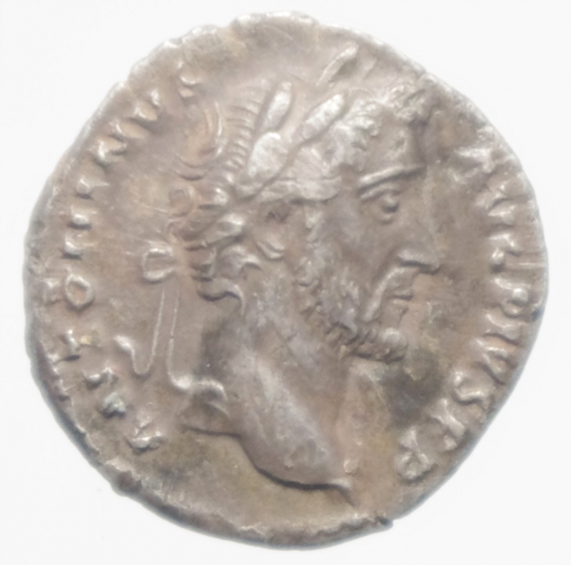 obverse: antonino pio denario