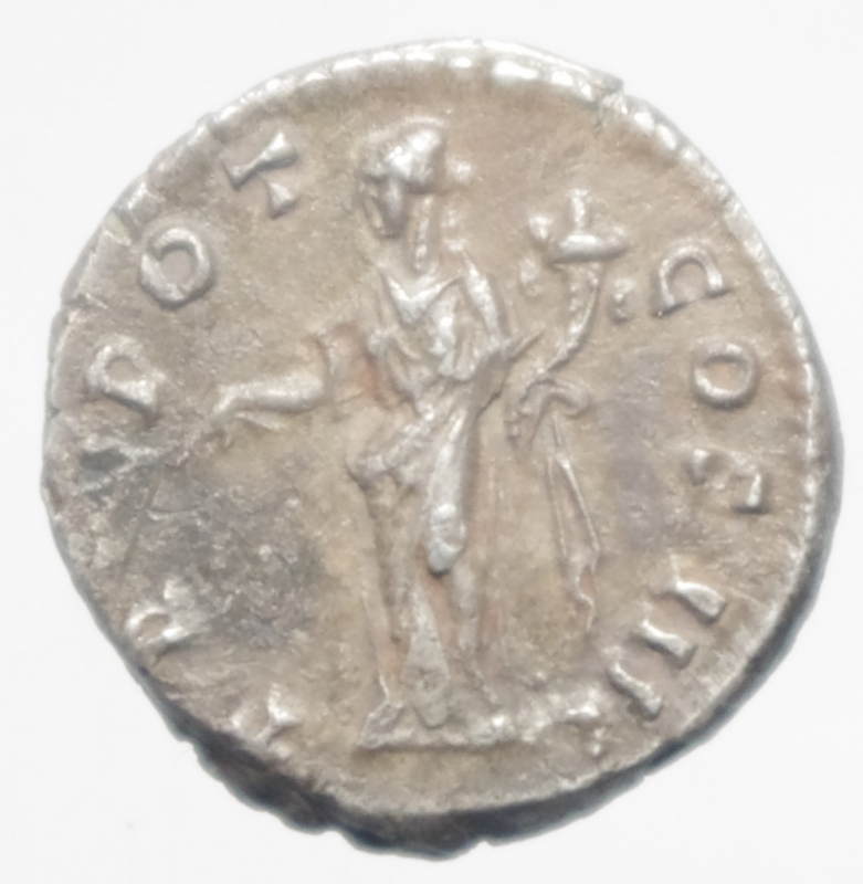 reverse: antonino pio denario