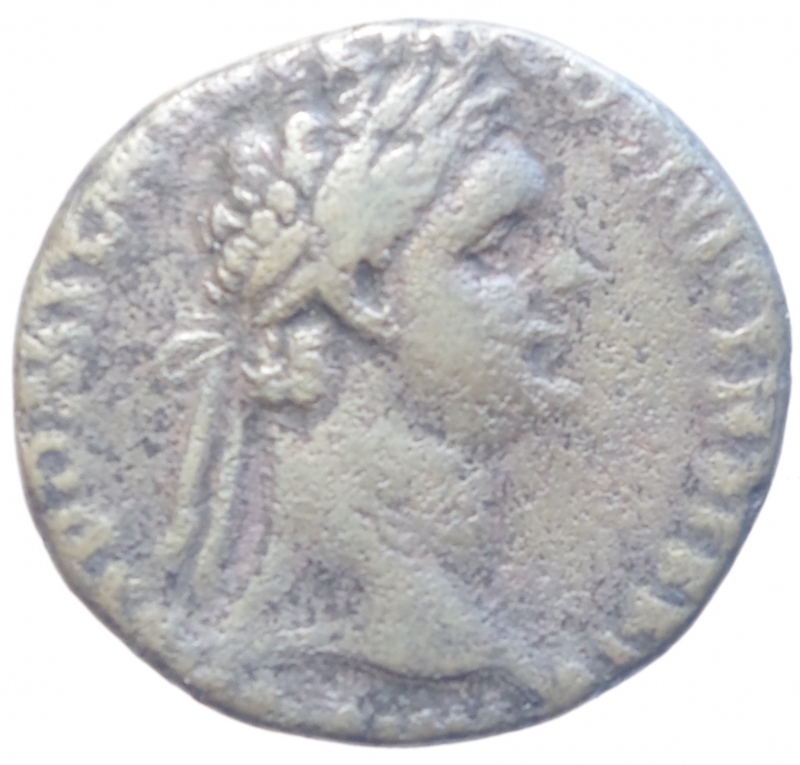 obverse: Impero Romano.Domiziano.Asse.Peso 9,45 gr.