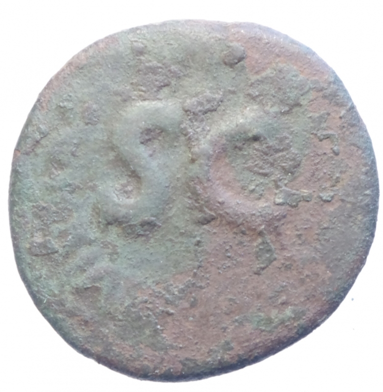 reverse: Impero Romano.Augusto.Asse.Peso 9,60 gr.