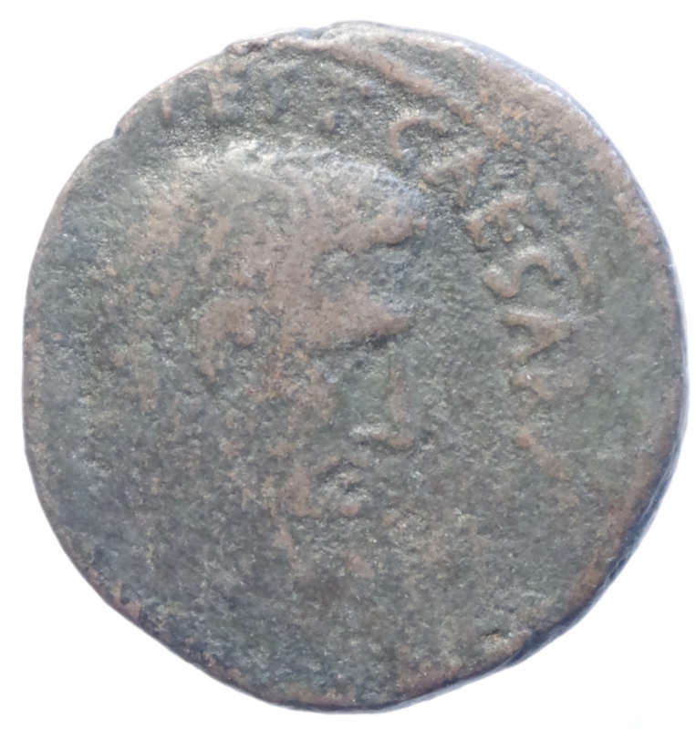 obverse: Impero Romano.Augusto.Asse.Peso 9,60 gr.
