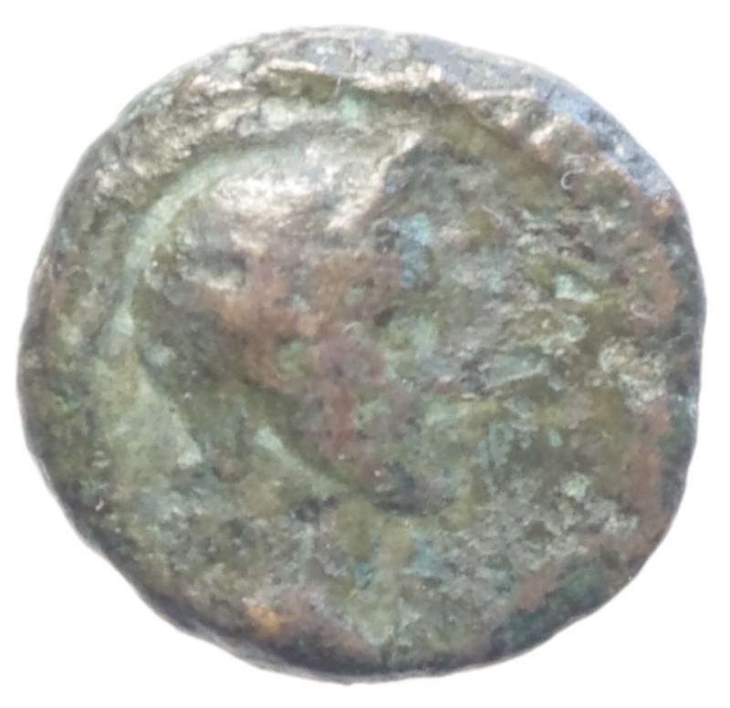 obverse: Impero Romano.Domiziano.Ae.Peso 2,60 gr.