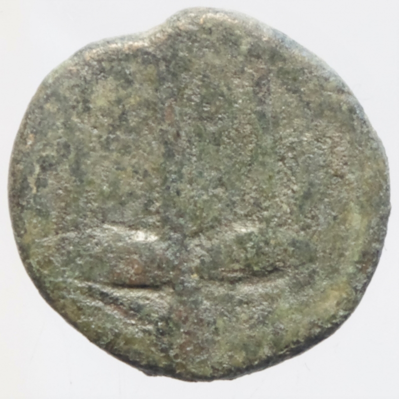 reverse: siracusa