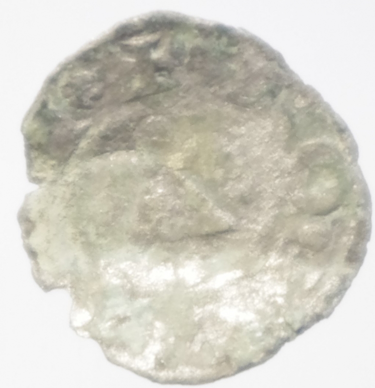 obverse: bologna