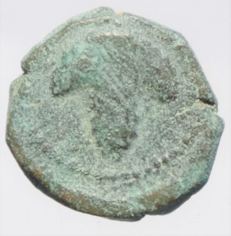 reverse: arpi