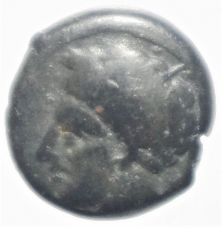 obverse: siculo punica