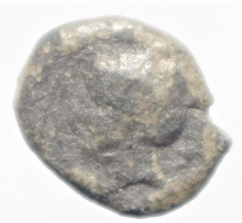 obverse: siculo punica