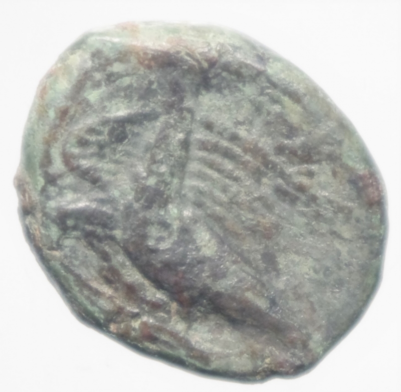 reverse: akragas