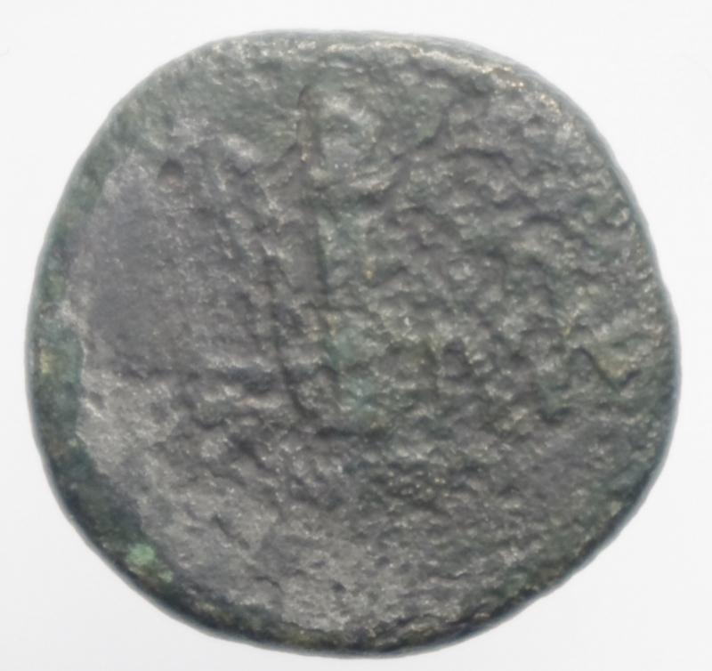reverse: amisos