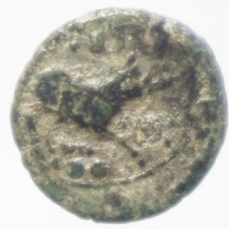 reverse: paestum