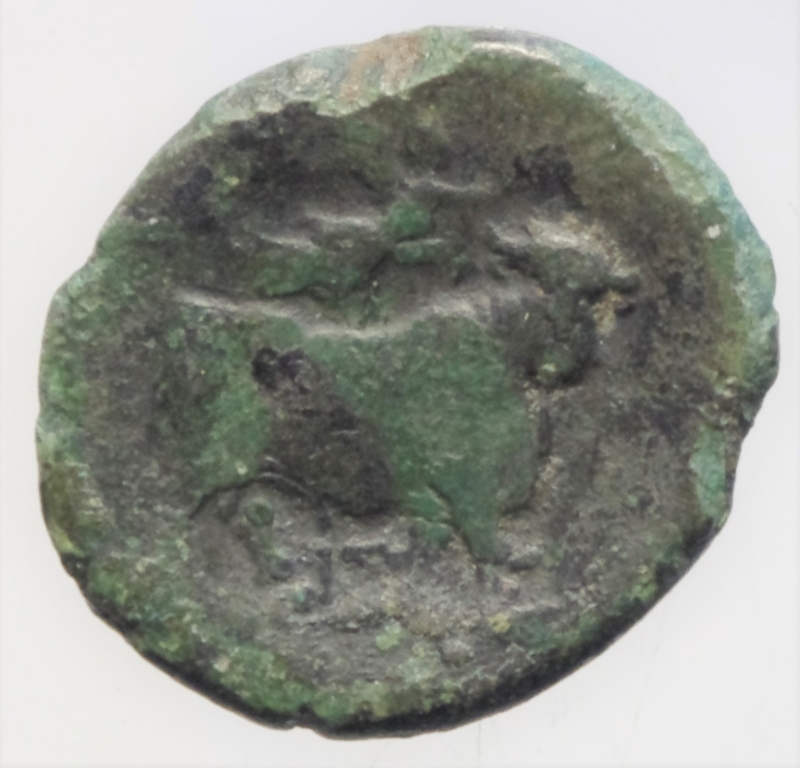 reverse: neapolis