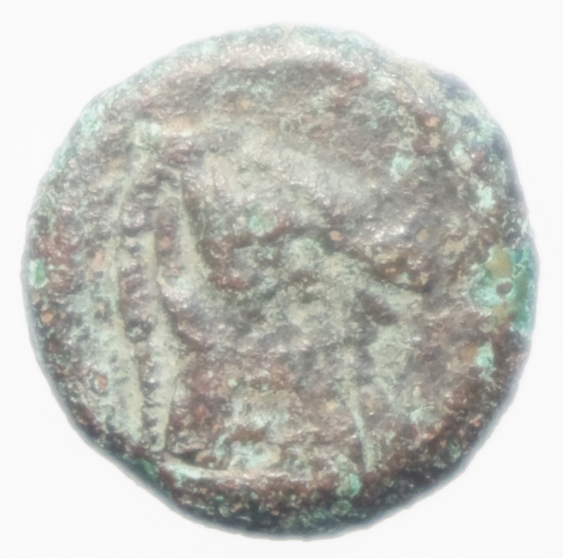 reverse: Repubblica Romana.Litra romano Campana.Peso5,30 gr.