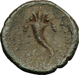 reverse: Aitna.  Roman Rule.. AE 17mm, after 212 BC