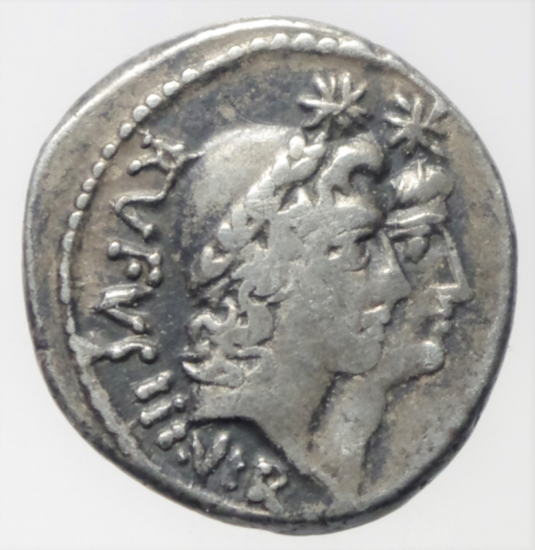 obverse: Repubblica Romana . Cordia . MN.CORDIVS RVFVS IIIVIR .Denario . 46 a.C. D/ Teste laureate dei Dioscuri a d. dietro RVFVS IIIVIR R/ Venere a s. con scettro e bilancia MN.CORDIVS. Cr.463/1a. Peso 3,69g. Diametro 18mm. BB.