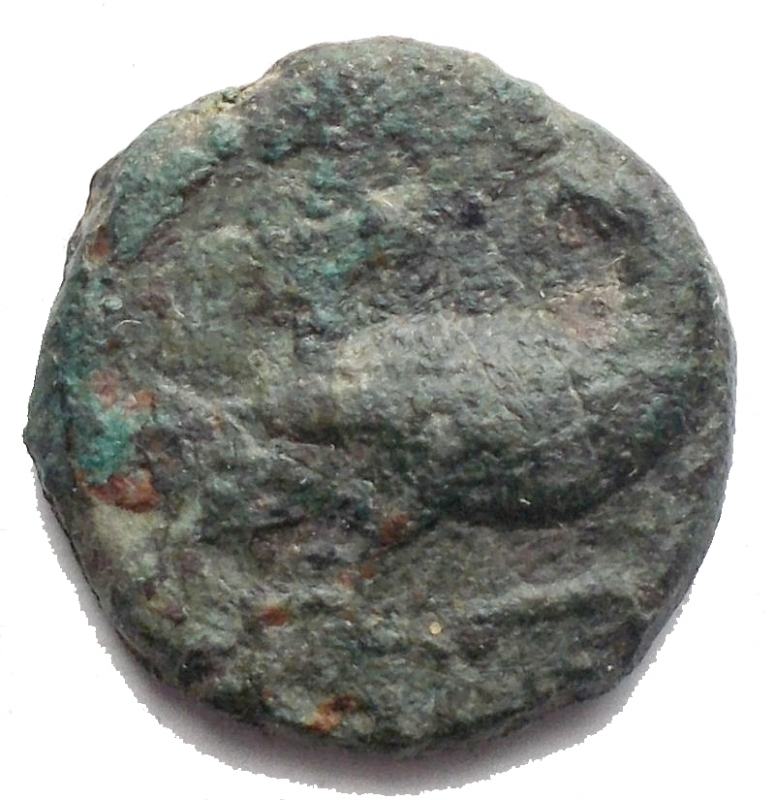 obverse: Mondo Greco -Bruttium, Crotone.AE 14,7 mm. IV secolo a.C.d/ Aquila a destra, retrospiciente.R/ Tripode.Cfr. SNG ANS 3390-91.g 2,81. MB-qBB. Patina verde