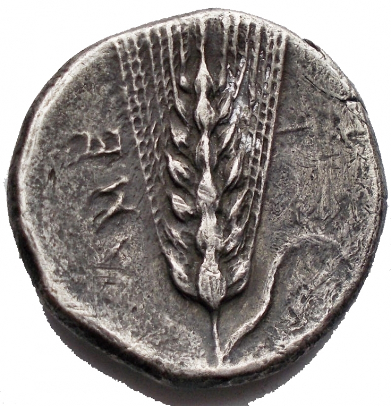 reverse: Mondo Greco - Lucania Metaponto Statere ca 280 a.C. d/Testa Femminile verso destra r/ Spiga, a sinistra META. Peso 7,2 g Diametro 21,4x21,8 mm. BB+. R