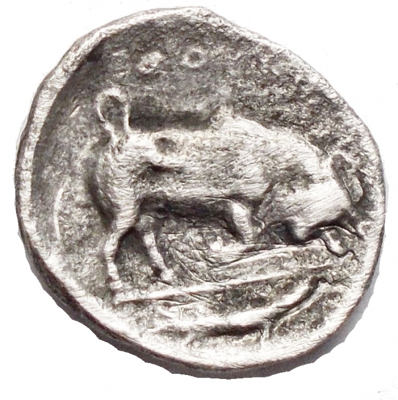 reverse: Mondo Greco - Lucania, Thurium.(IV sec. aC.). Diobolo.D/ Testa di Athena a destra, che indossa elmo decorato con mostro Scilla.R/ Toro cozzante a destra. In esergo: simbolo pesce. AG. g 0,72. qBB