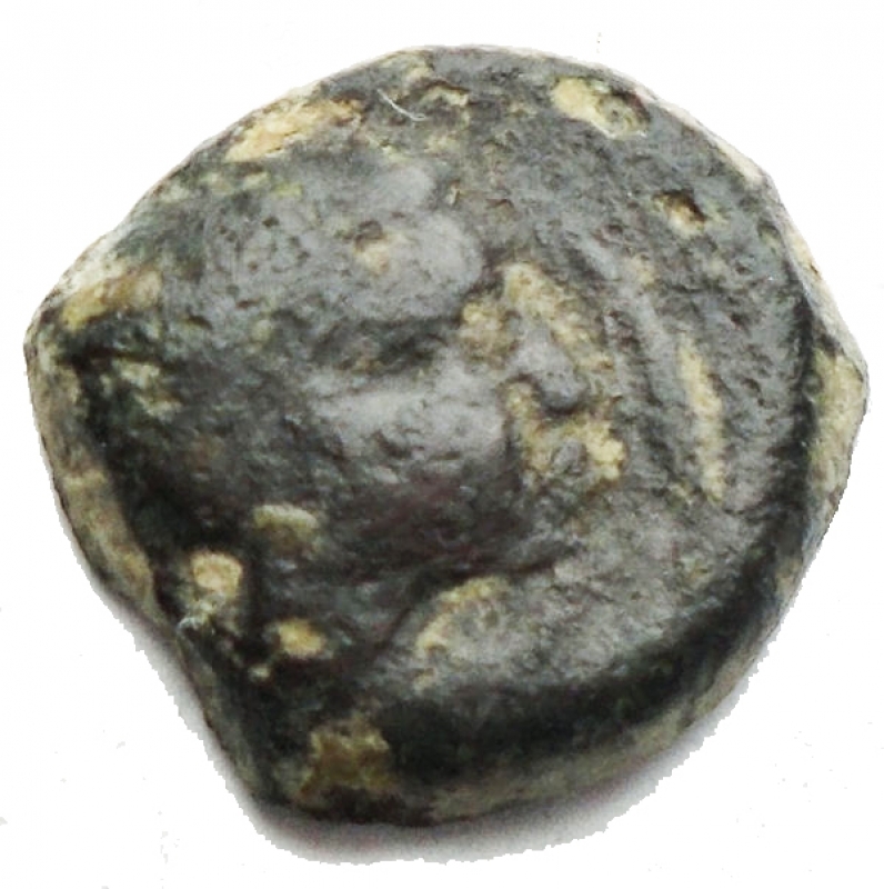 obverse: Mondo Greco - Sicilia. Segesta. 416-415 a.C. AE g 1,4. mm 11,6.d/ Testa a ds. r/ Levriero stante a ds. qBB. Patina verde nera