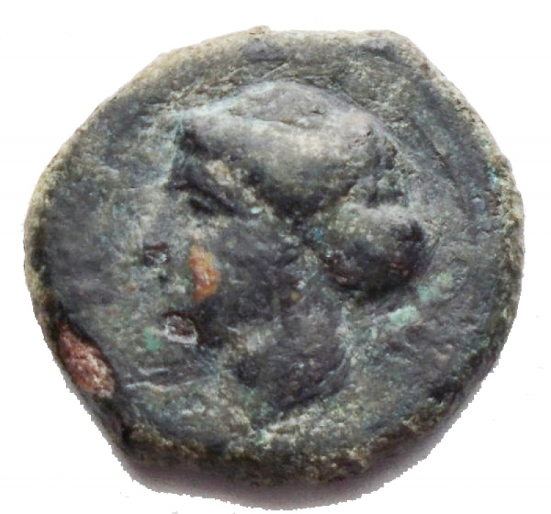 obverse: Mondo Greco - Sicily.Syracuse.AE 15,08 mm, after 400 BC.Obv. Head of Arethusa left.Rev. Octopus.SNG ANS 389.AE.g 2,6. VF/aVF