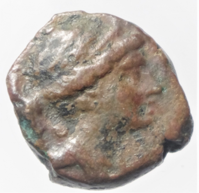 obverse: Mondo Greco. Siria. Seleucidi. Seleuco III. 226-223 a.C. Ae. Bronzo. D/ Testa di Artemide a destra. R/ Apollo seduto con arco .SC.922. Peso 4,55 gr. Diametro 16,17 mm. qBB.