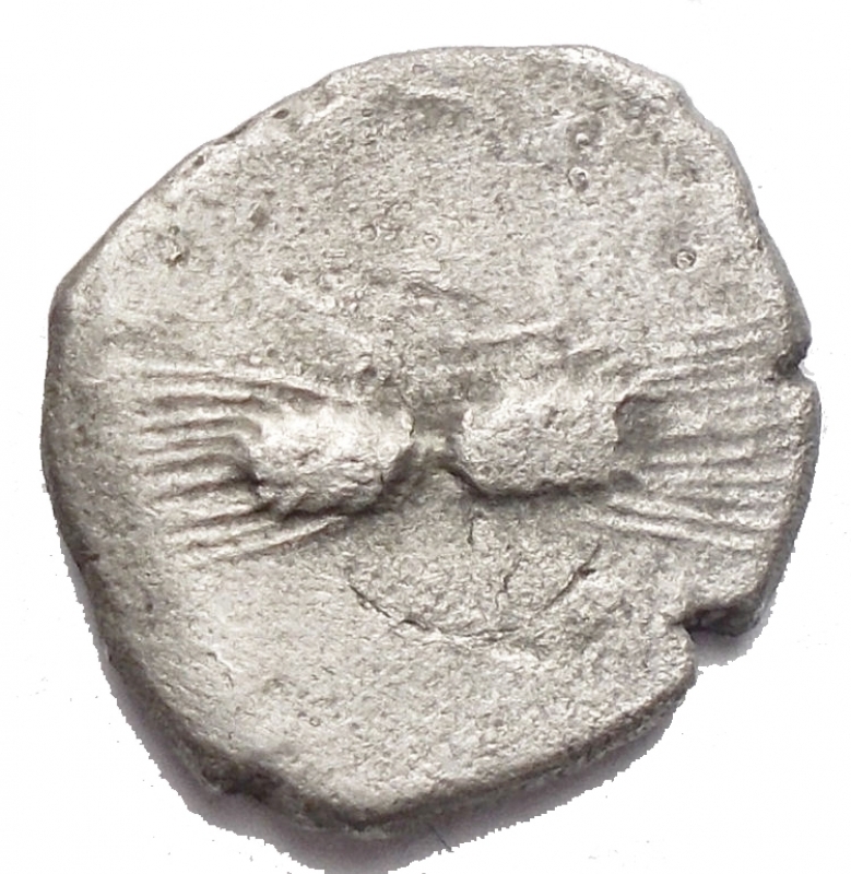 reverse: Mondo Greco - Apulia. Arpi. 215-212 a.C.Diobolo. AG. D/ Testa di Athena a sinistra. R/ Due spighe di grano. HN(Italy) 647. Peso g 1.31. BB/qBB.R.