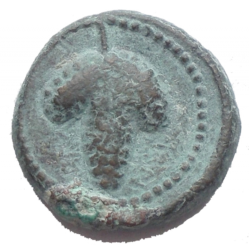 reverse: Mondo Greco -Apulia.Arpi.III secolo a.C.AE.D/ Testa di Athena con elmo corinzio a destra.R/ APANOY. Grappolo d uva.SNG ANS 646.Pesogr. 3,81.Diametro 15,1 mm. BB/BB+