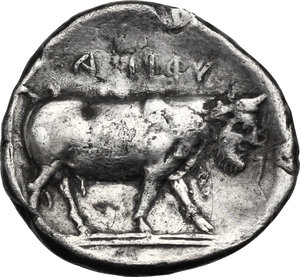 reverse: Central and Southern Campania, Hyrietes. AR Didrachm, c. 405-385 BC