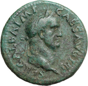 obverse: Galba (68-69). AE As, Rome mint
