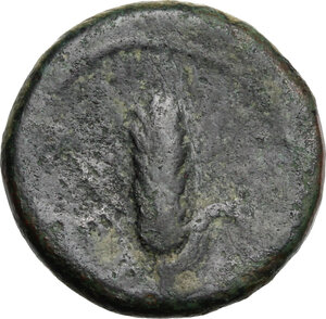 reverse: Southern Apulia, Azetium. AE 16 mm. c. 300-275 BC