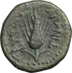 reverse: Southern Apulia, Butuntum. AE 21 mm. 275-225 BC