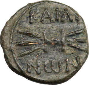 reverse: Southern Apulia, Caelia. AE Uncia, c. 220-150 BC
