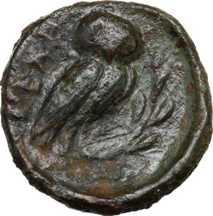reverse: Northern Lucania, Velia. AE 15mm, late 5th century BC