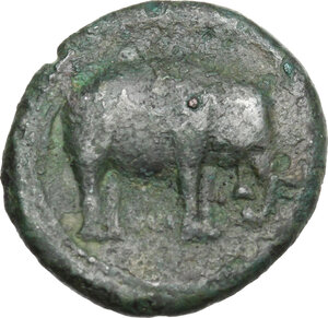 reverse: Etruria, Arretium (?) The Chiana Valley. AE 19 mm. 3rd century BC