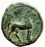 Reverse image
