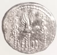 img-1