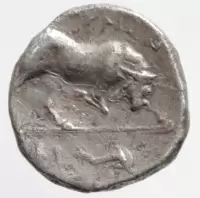 Reverse image
