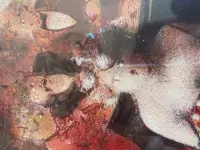 img-0