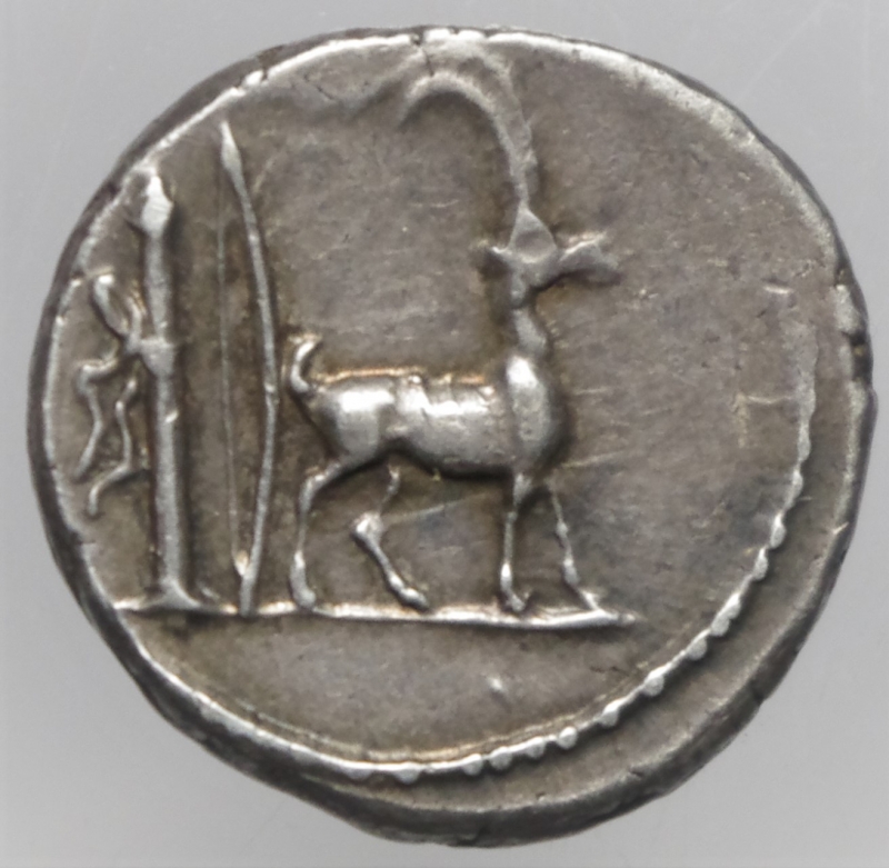 reverse: plautius plancus denario