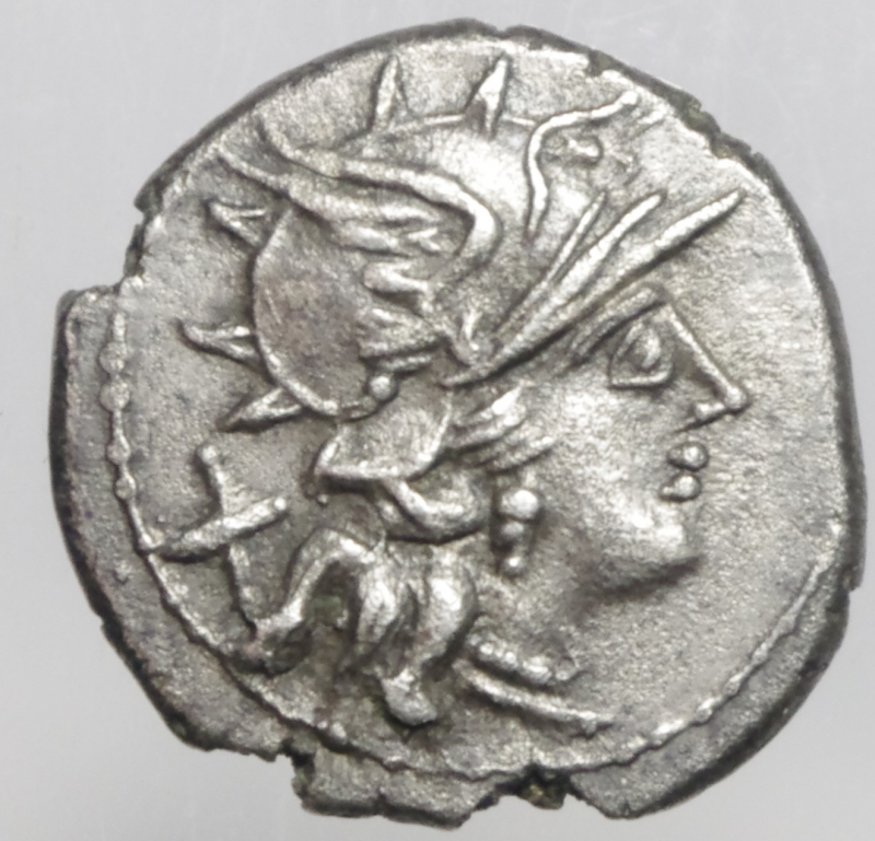 obverse: renia denario