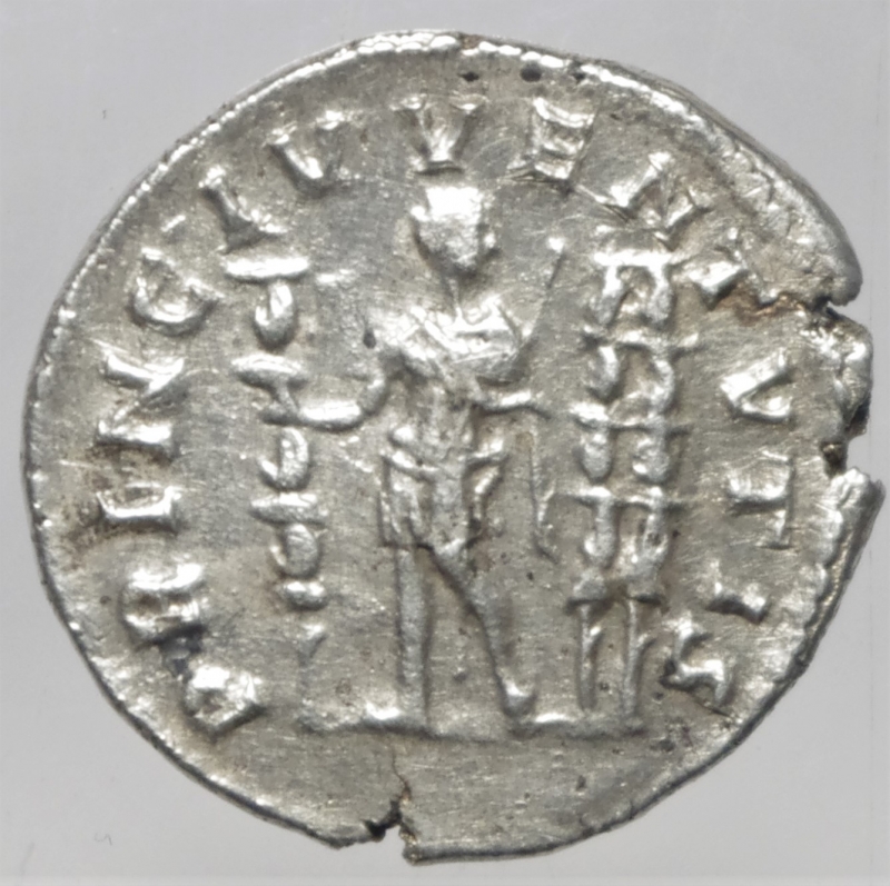 reverse: diadumeniano denario