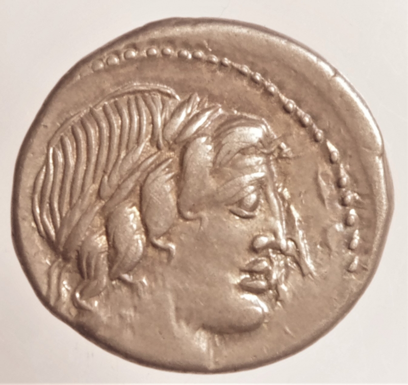 obverse: denario anonimo