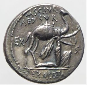 obverse: aemilia denario