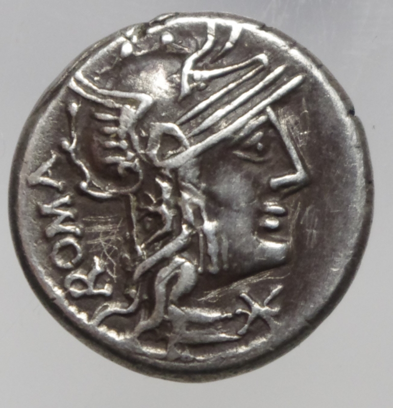 obverse: caecilia denario
