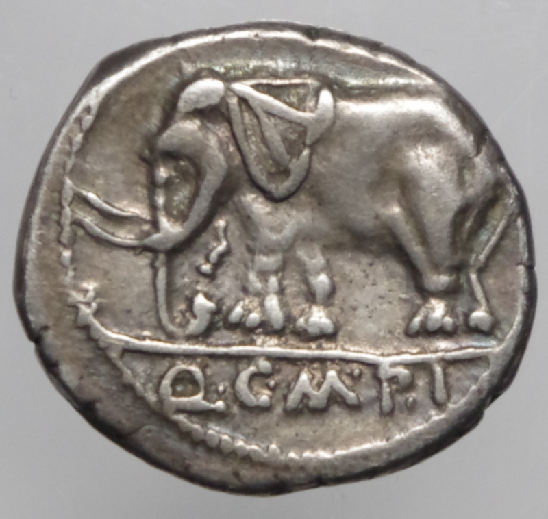 reverse: caecilia denario